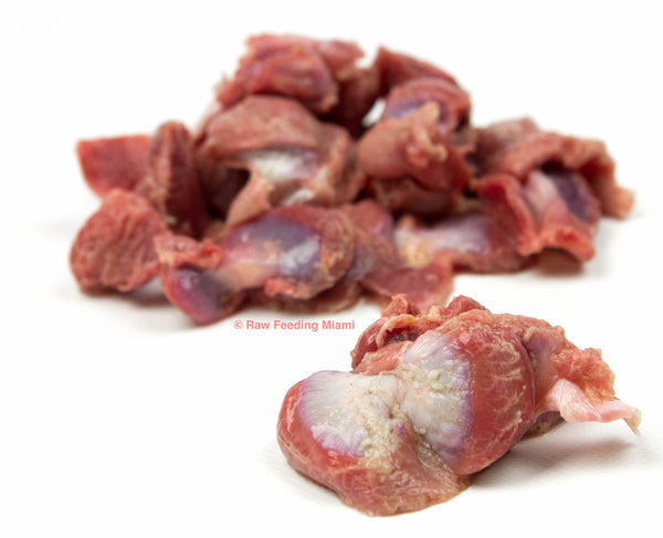 Raw chicken gizzard shop for dogs