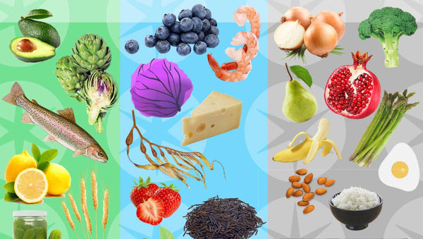 Understanding Food Energetics for Dogs: A Beginner’s Guide to Traditional Chinese Medicine (TCM)