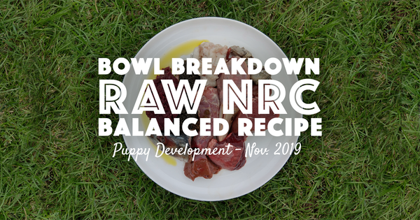 NRC Balanced Raw Puppy Recipe