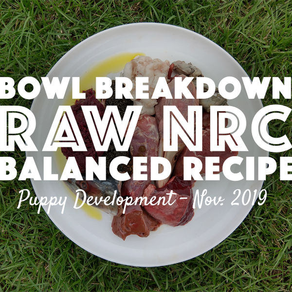 NRC Balanced Raw Puppy Recipe Raw Feeding Miami