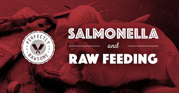 Salmonella & Raw Feeding