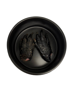 Alligator Feet