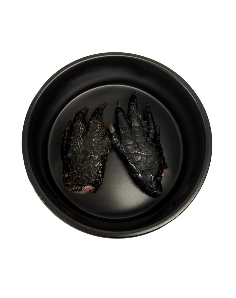 Alligator Feet