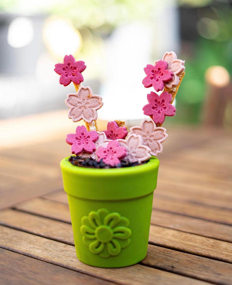 Flower Pot Treat Dispenser