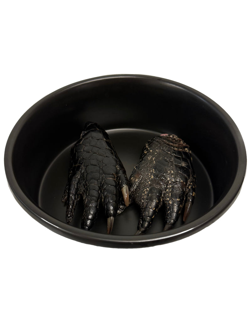 Alligator Feet