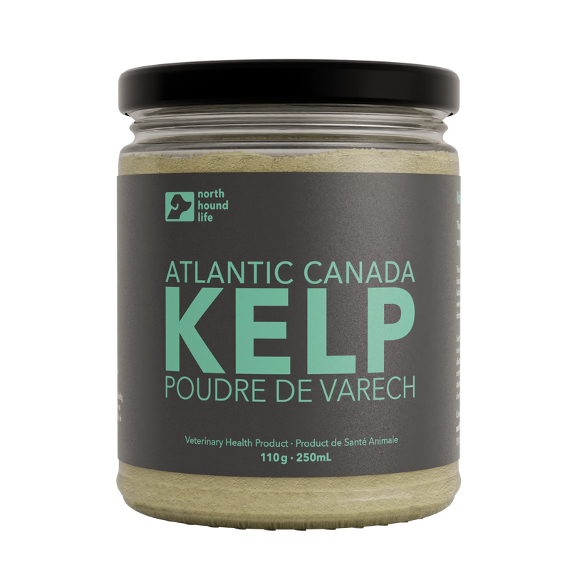 Organic Kelp Powder