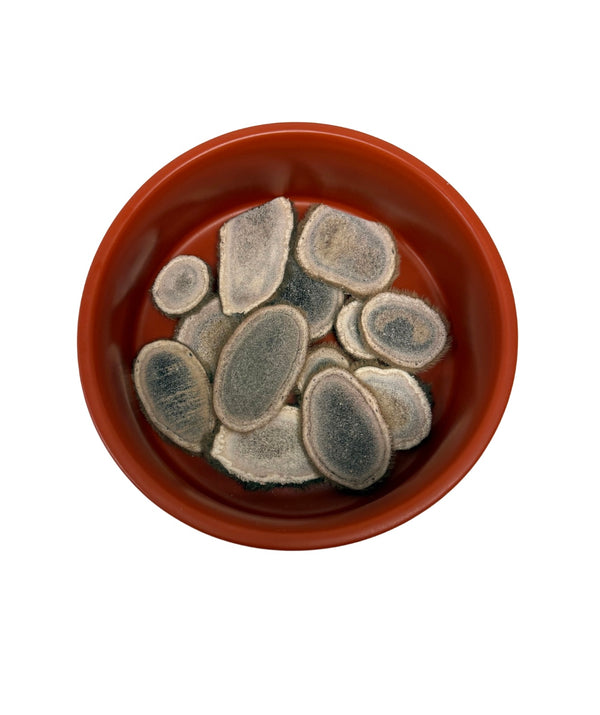 Freeze Dried Elk Velvet Antler Chips