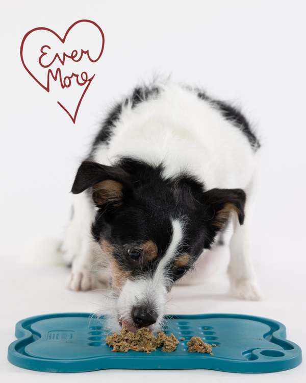 Evermore Dog Food - Beef
