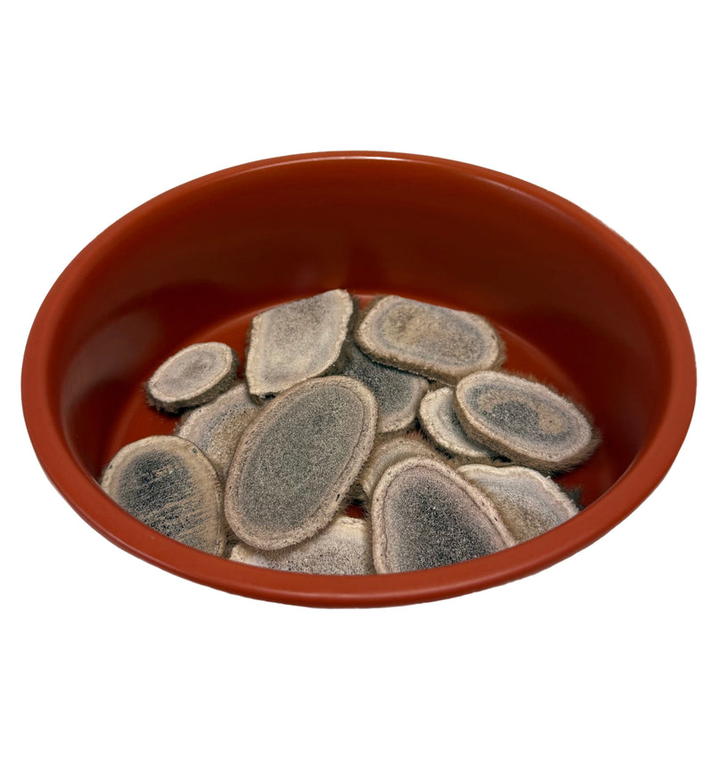 Freeze Dried Elk Velvet Antler Chips