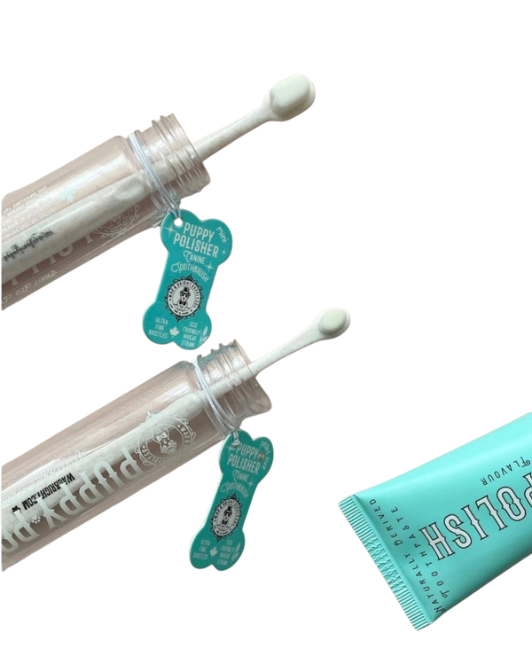 Puppy Polisher Eco Toothbrush