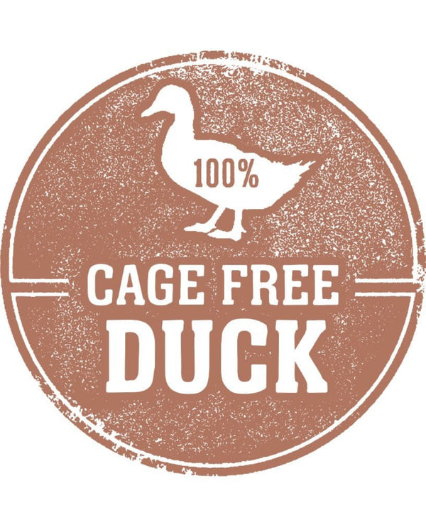 Freeze Dried Duck Feet