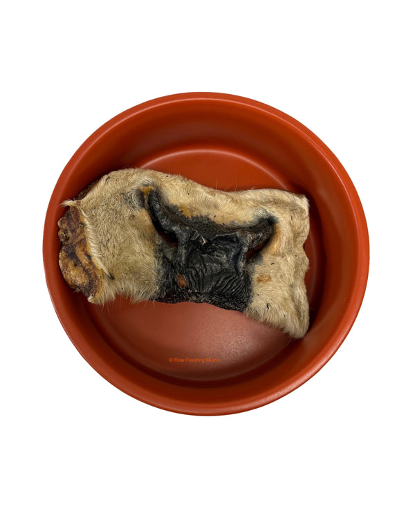 Dehydrated Beef Snouts