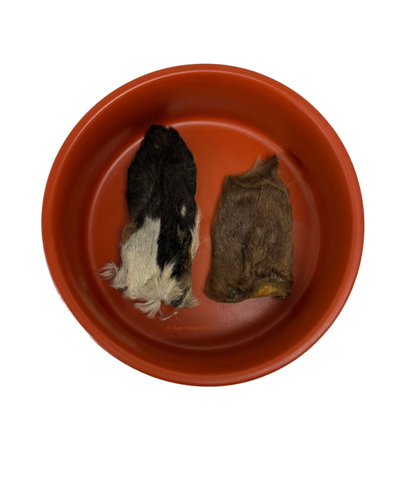 Dehydrated Goat Ears