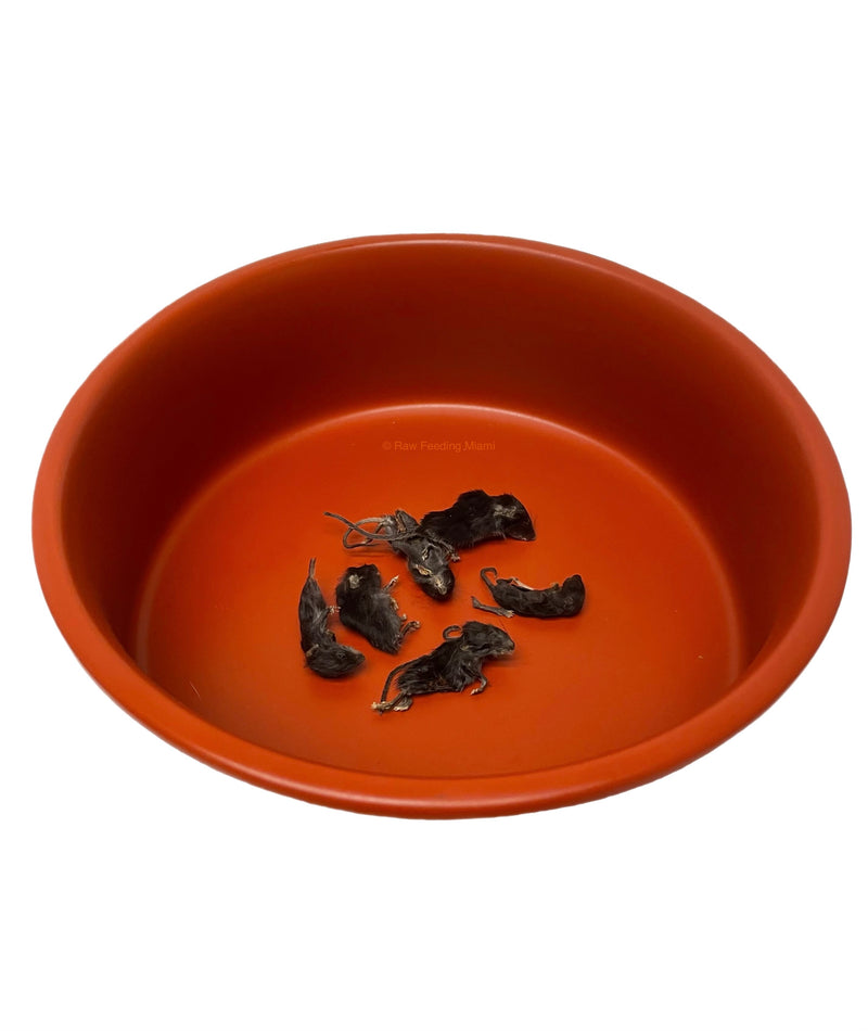 Dehydrated Mice