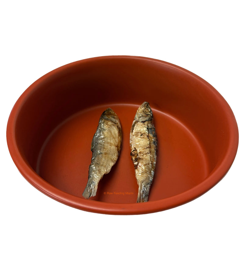 Dehydrated Sardines