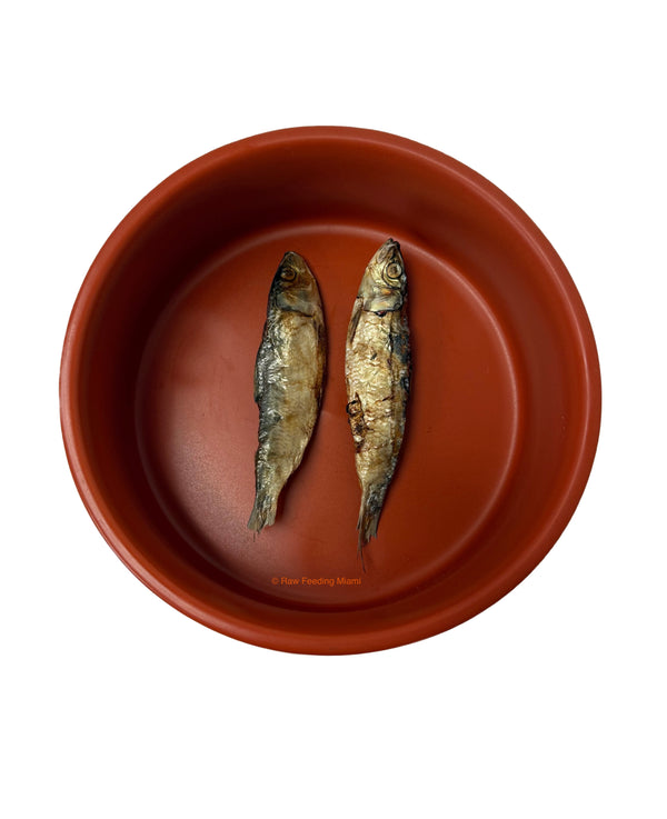 Dehydrated Sardines