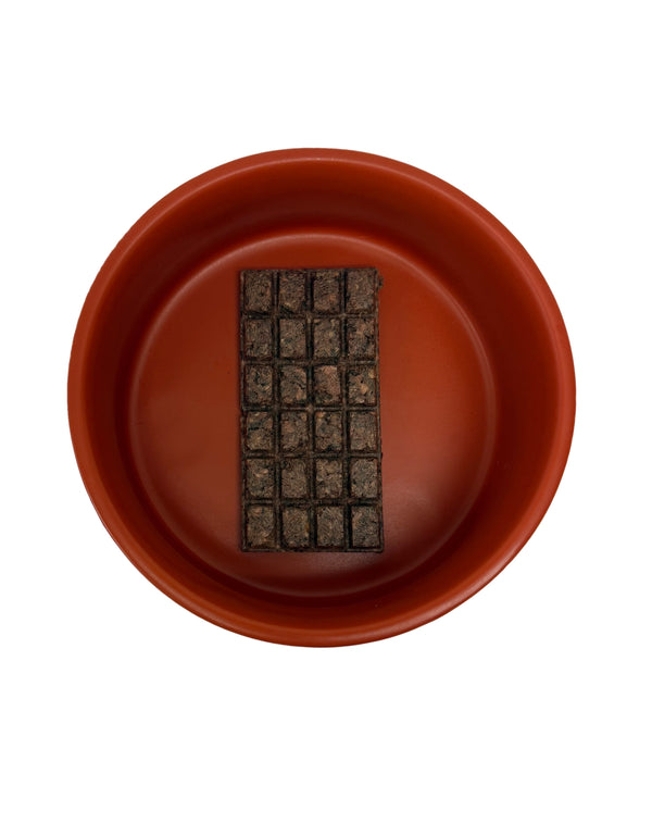 Freeze Dried Quail Bars