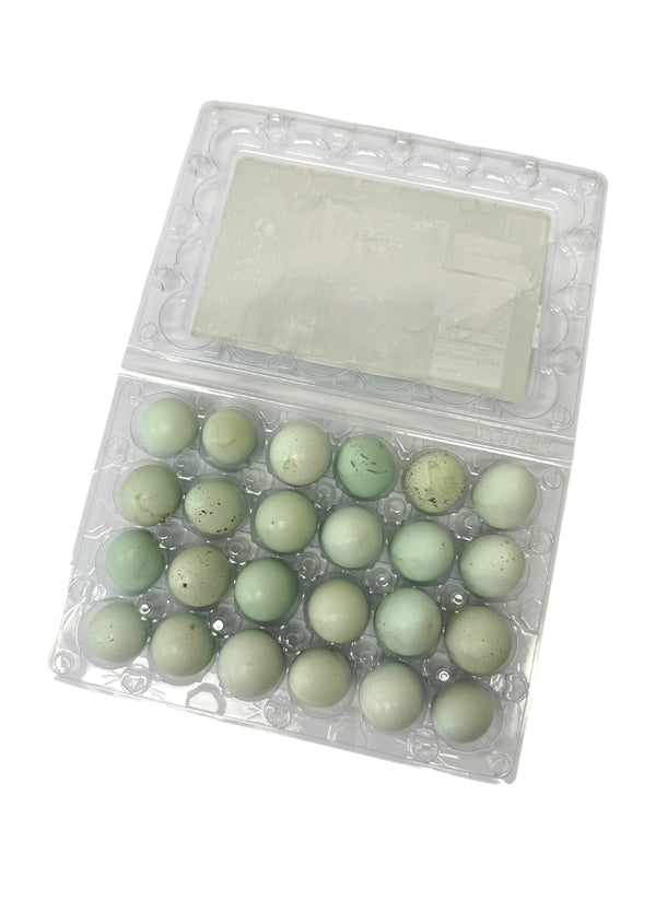 Organic Quail Eggs