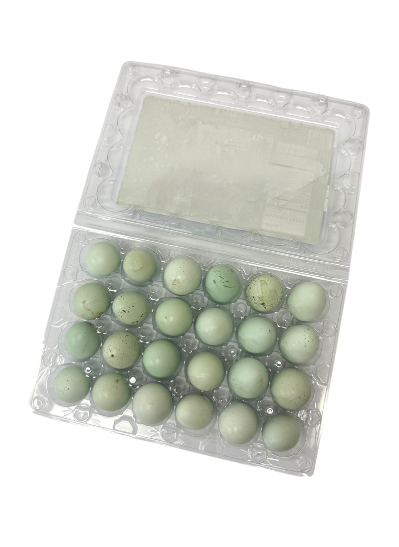 Organic Quail Eggs