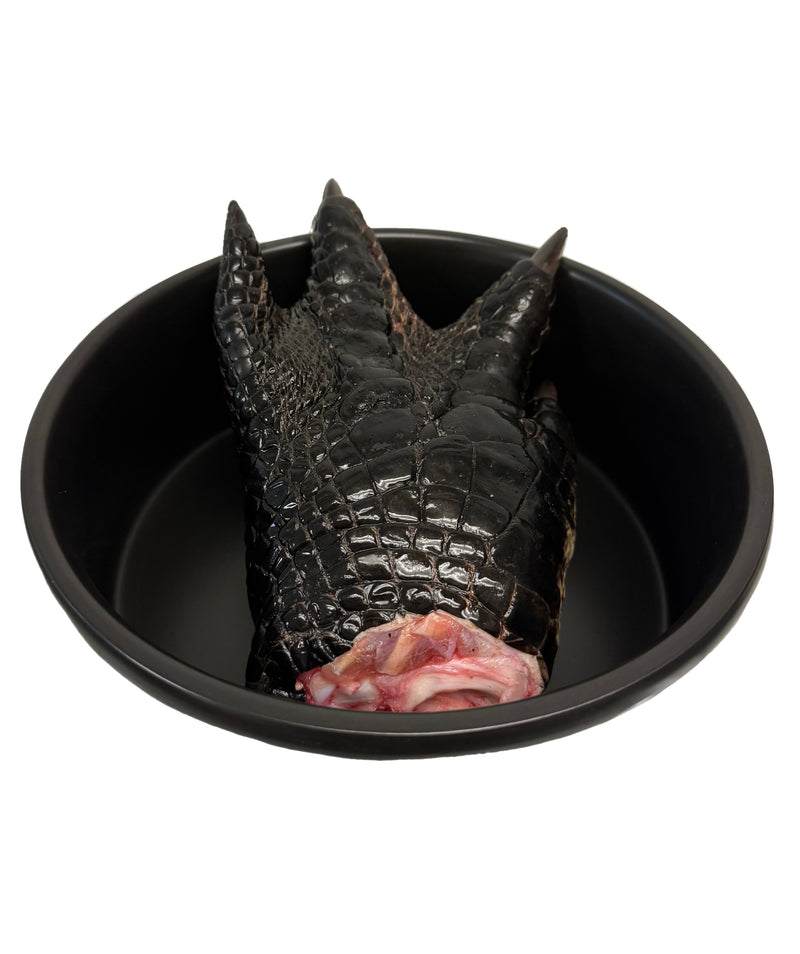 Alligator Feet