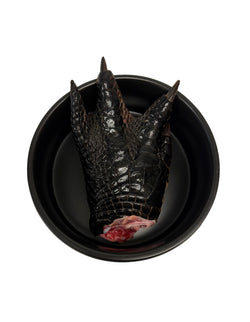 Alligator Feet