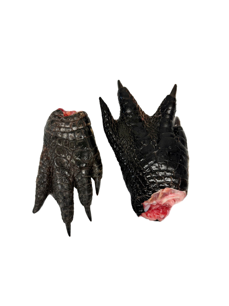 Alligator Feet