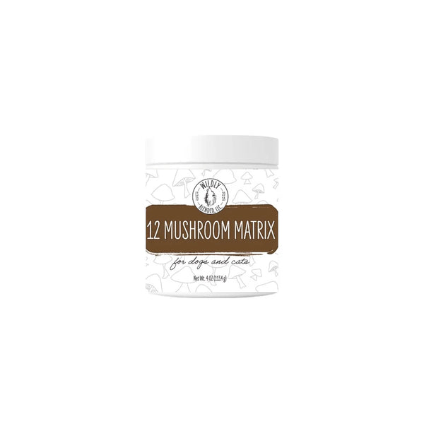 Wildly Blended - 12 MUSHROOM MATRIX