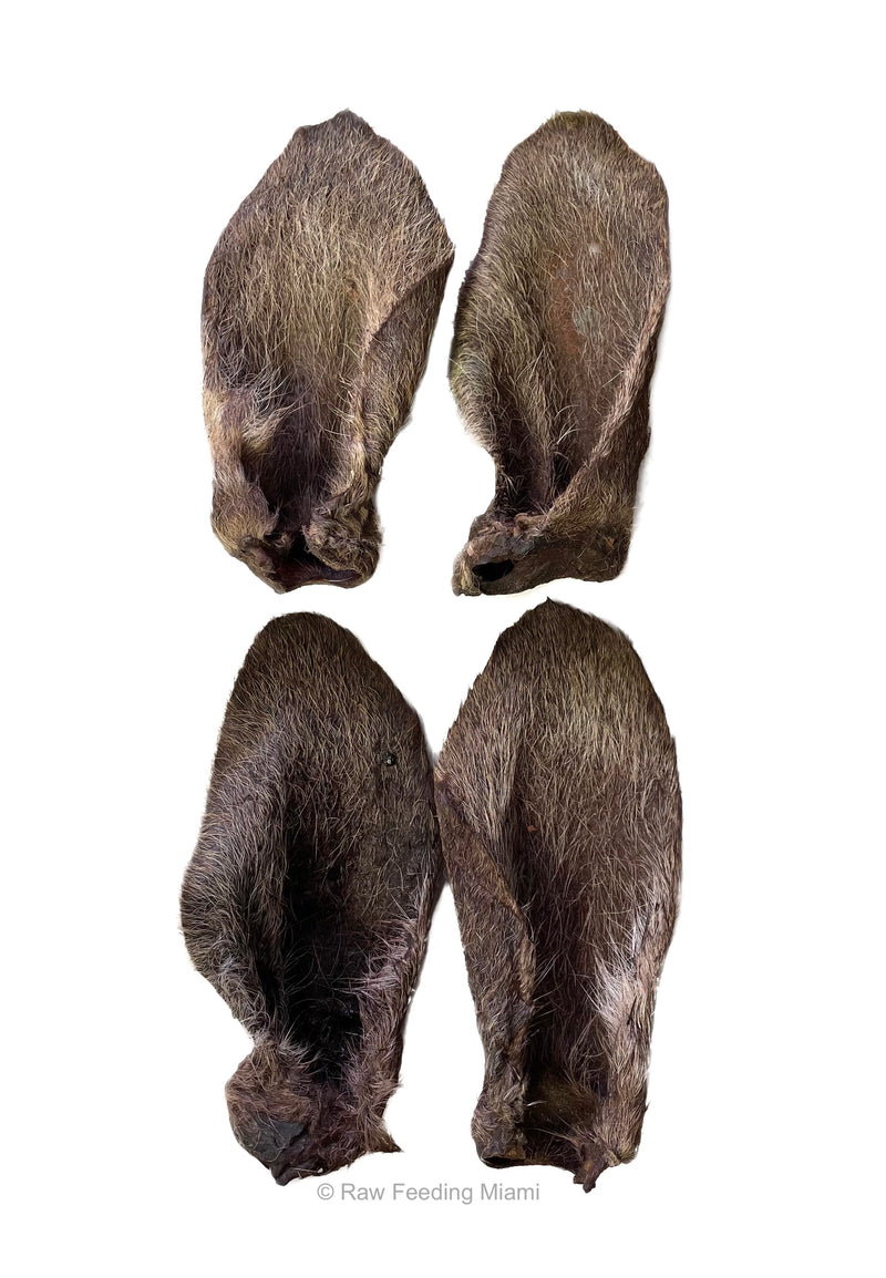 Dehydrated Kangaroo Ears