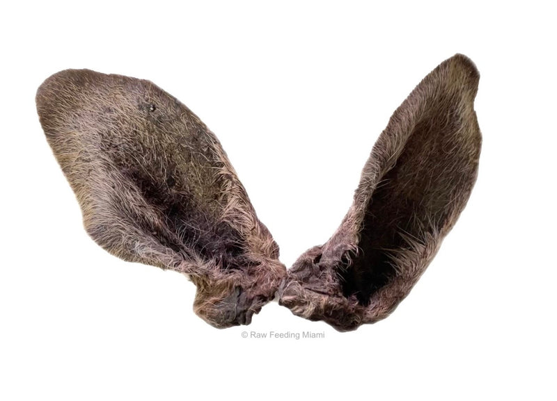 Dehydrated Kangaroo Ears