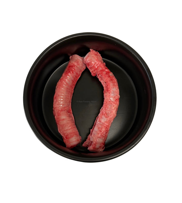 Lamb Trachea