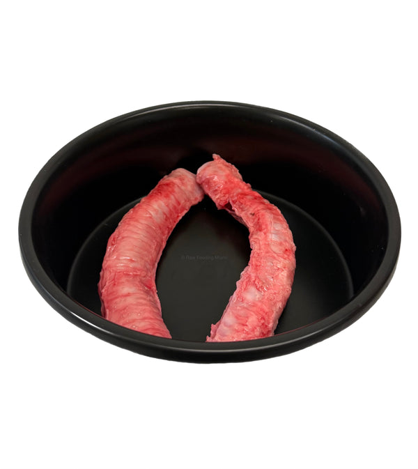 Lamb Trachea