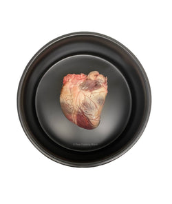 Lamb Heart