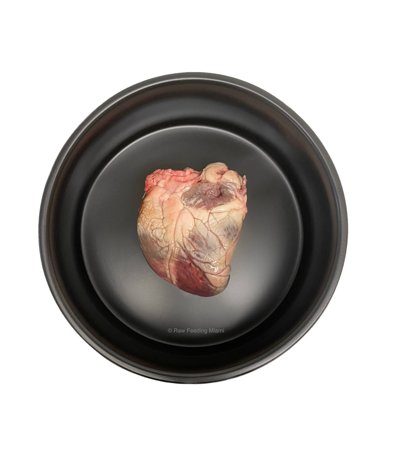 Lamb Heart
