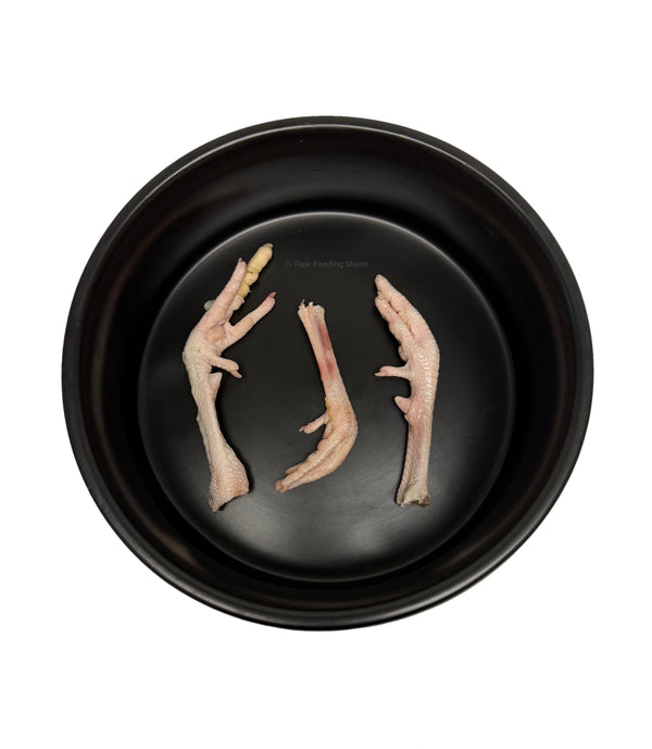 Pheasant Feet