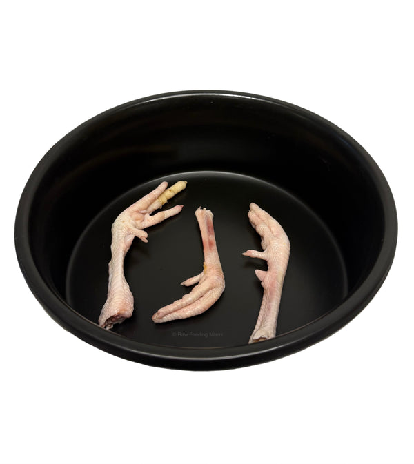 Pheasant Feet