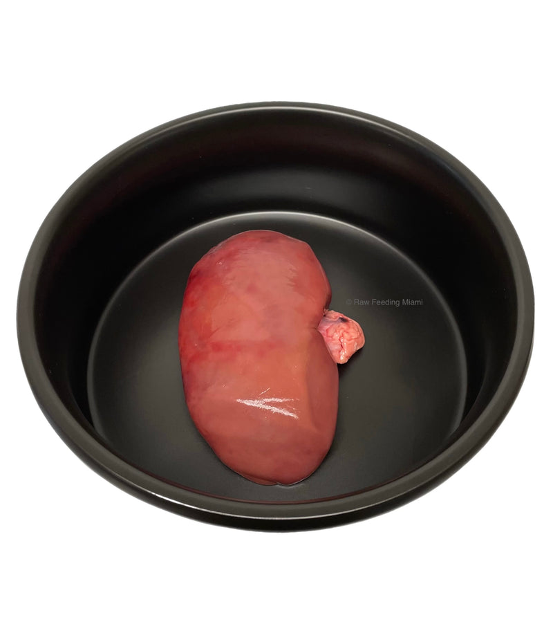 Pork Kidneys