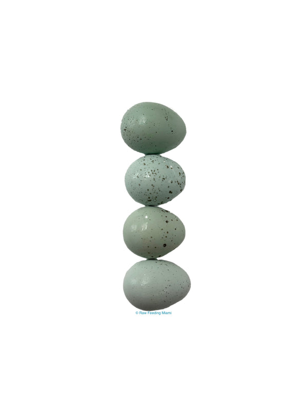 Organic Quail Eggs