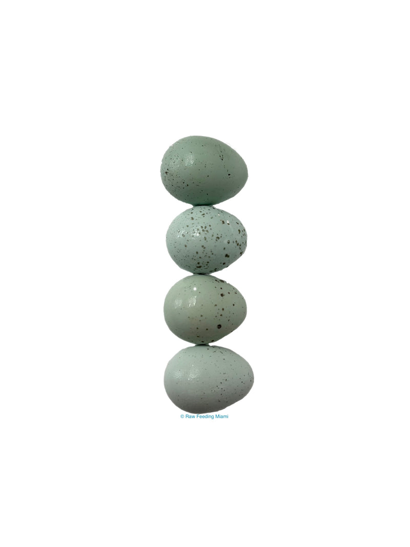 Organic Quail Eggs