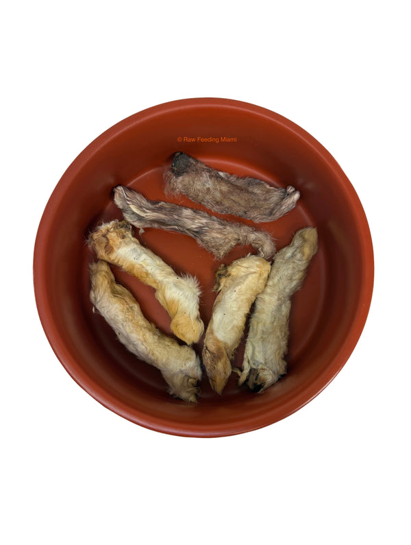 Dehydrated Rabbit Feet & Ears
