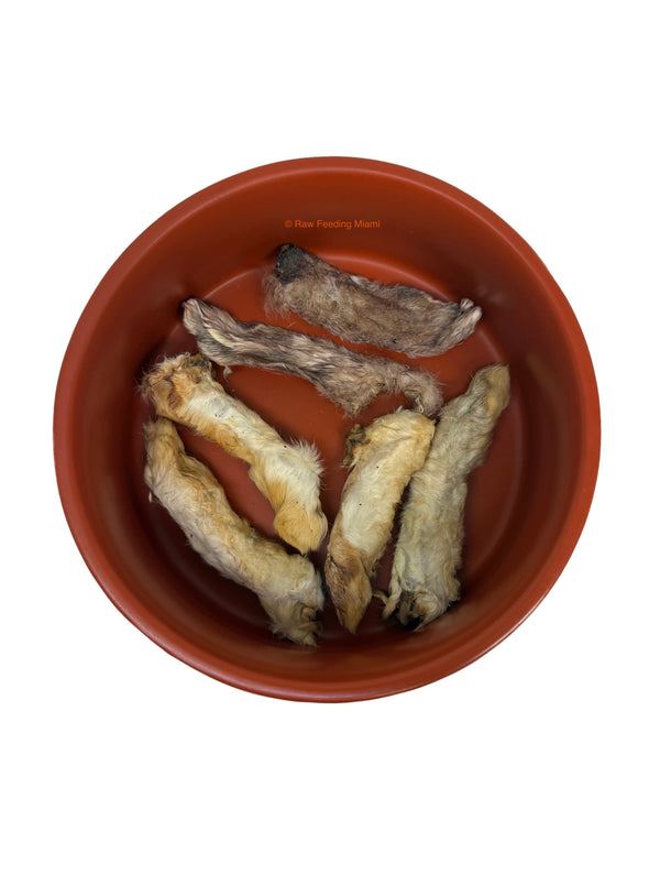 Raw Rabbit for Dogs & Cats | Novel Protein | Raw Feeding Miami