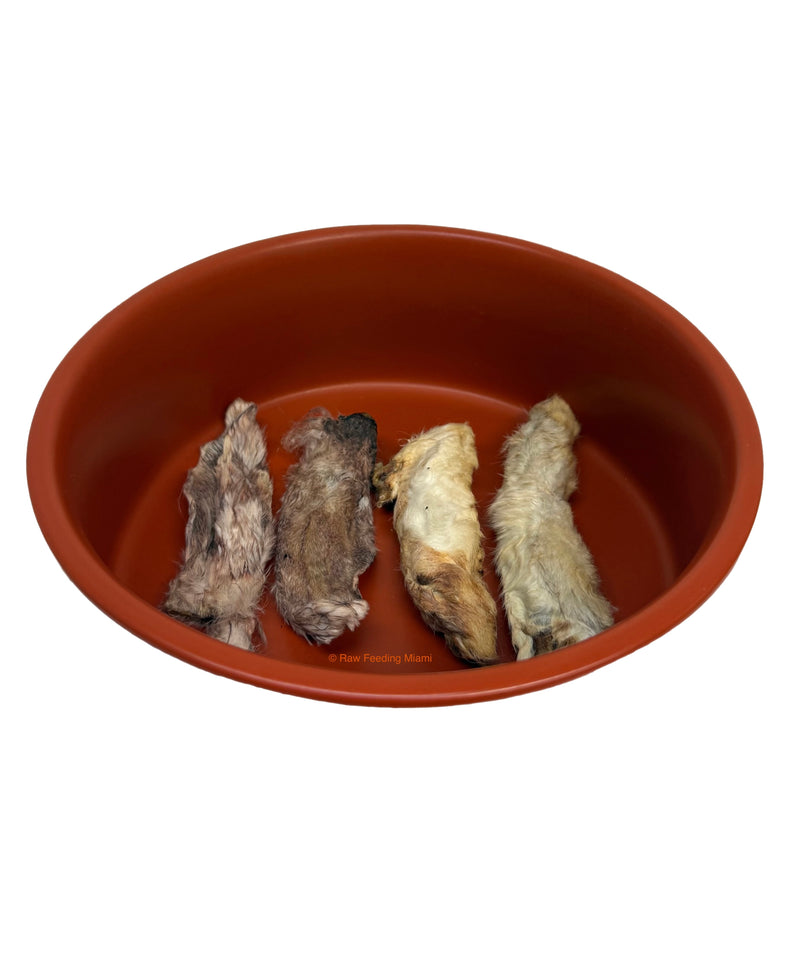 Dehydrated Rabbit Feet & Ears