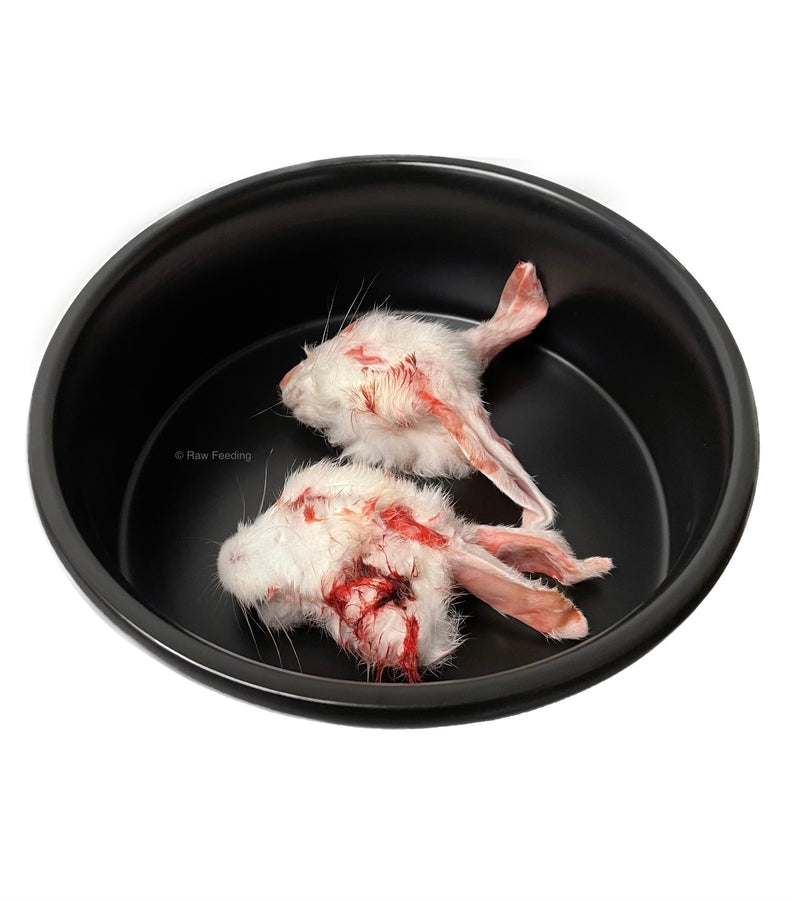 Rabbit Heads