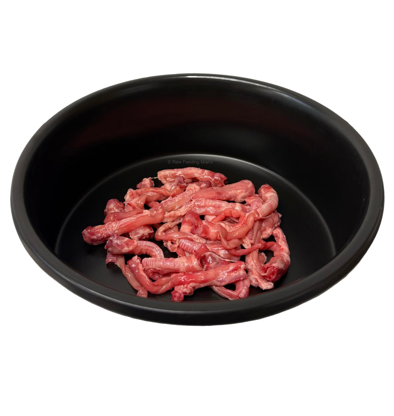 Rabbit Trachea