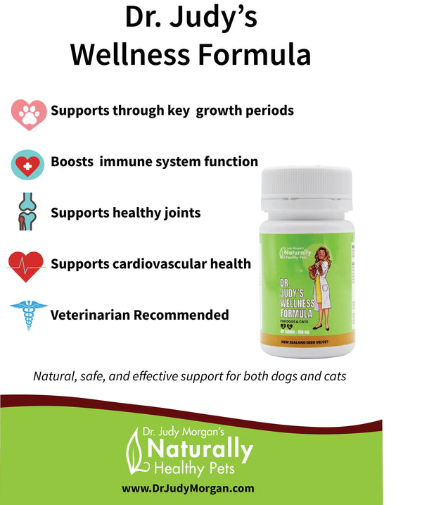 Dr. Judy Morgan - Wellness Formula