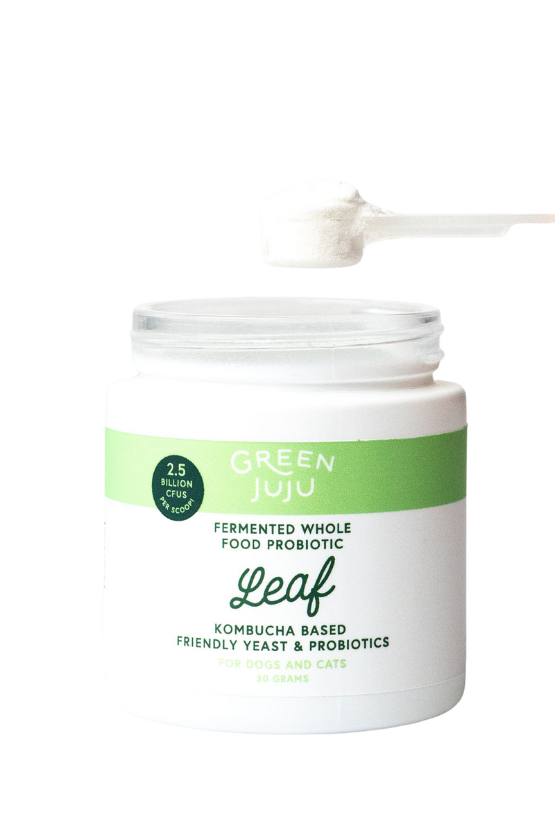 Green Juju - LEAF probiotics