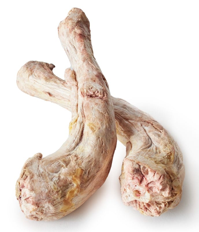 Freeze Dried Turkey Necks Raw Feeding Miami