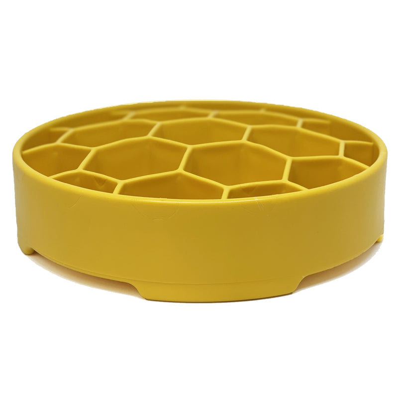 Honeycomb Enrichment Slow Feeder Bowl – Raw Feeding Miami