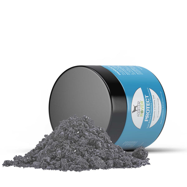 Four Leaf Rover - PROTECT