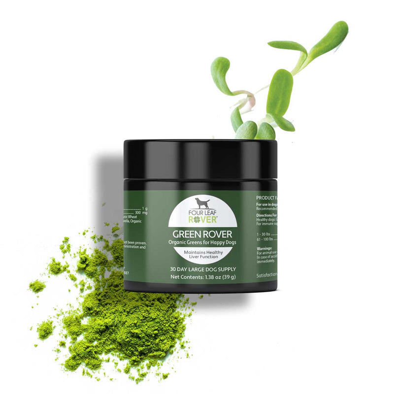 Four Leaf Rover - GREEN ROVER (Fermented Greens)
