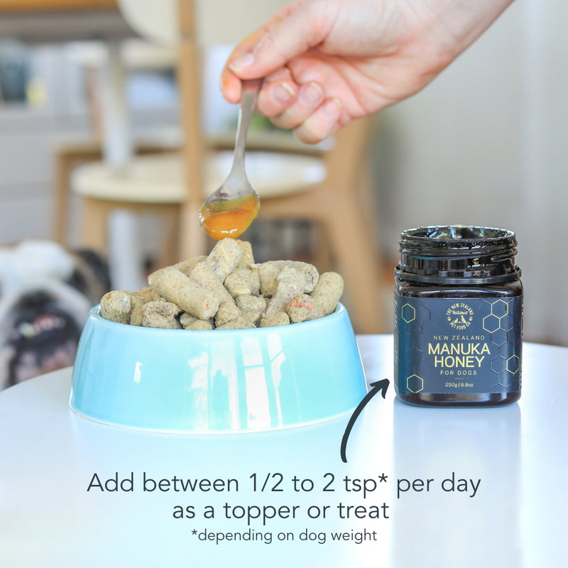 Honey raw dog food shop